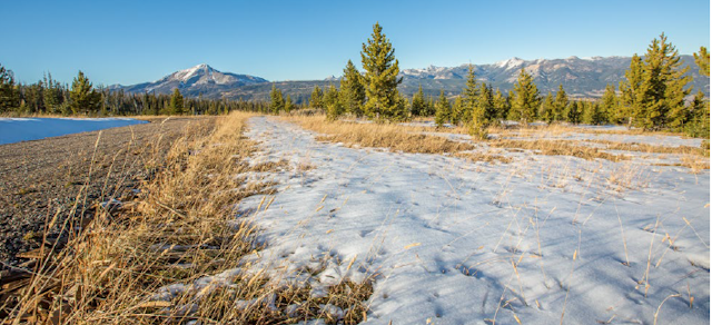 South Fork Ranch 5