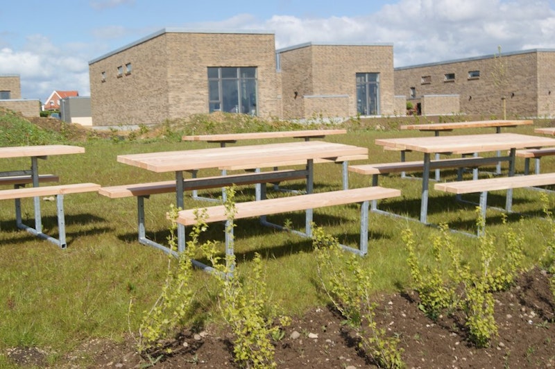 Douglas galv (LEK3556) - bild 2