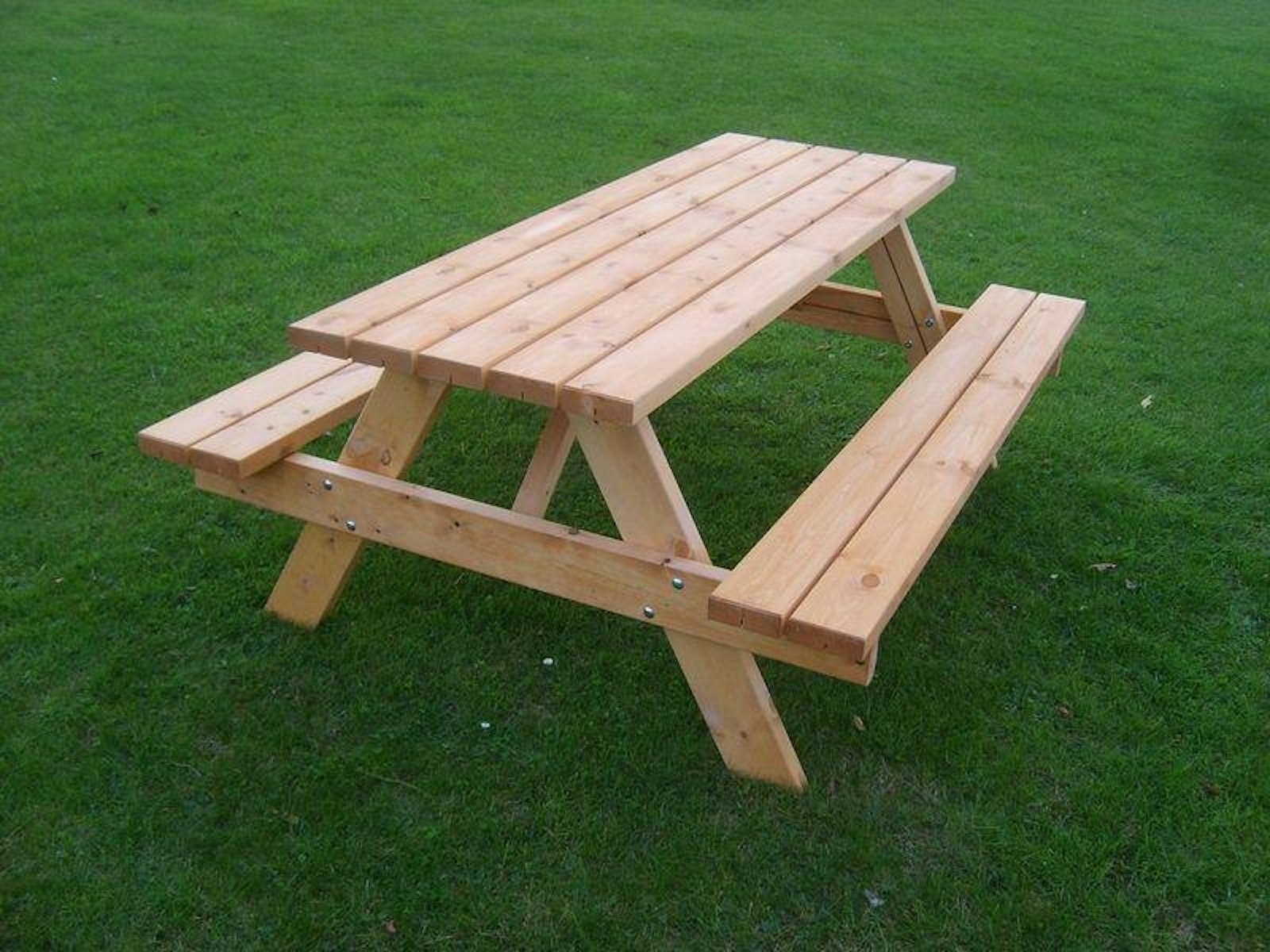 Picnic 2010