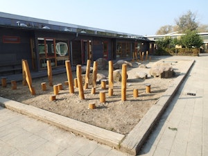 Saltus (LEK31995) - bild 2