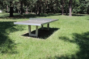 Spelbord - Pingis - bild 3