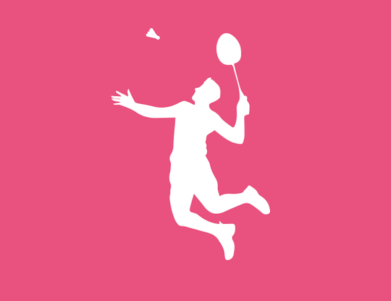 Badmintonnät inkl. lina för hålkärl