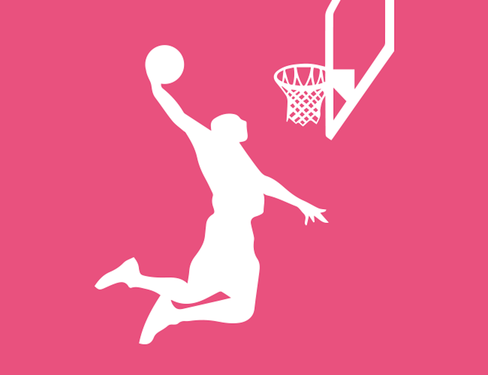 Basket - korgnät