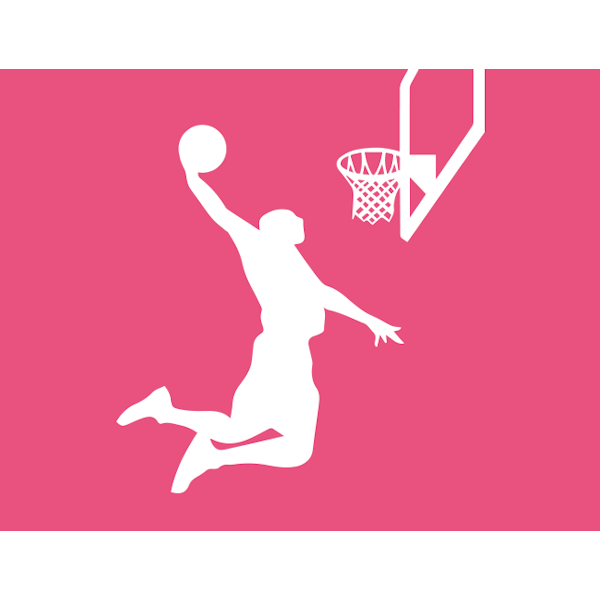 Basket - korgnät