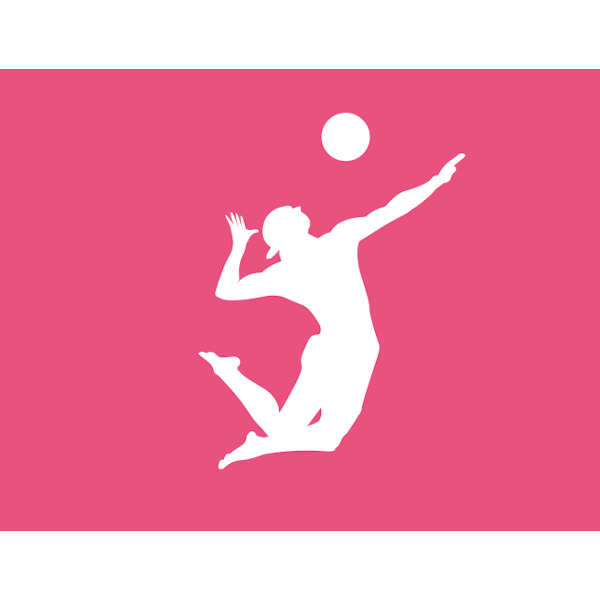 Beachvolley/volleybollnät