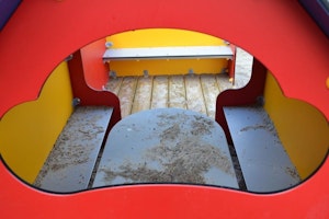 Carina - bild 9
