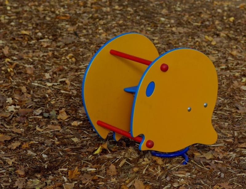 Cora - Fjadergunga - bild 4