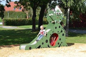 Dino - bild 4