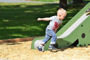Dino - bild 5