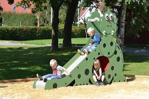 Dino - bild 7