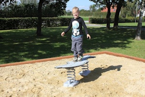 Flipper - bild 3