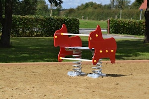 Francis - bild 4