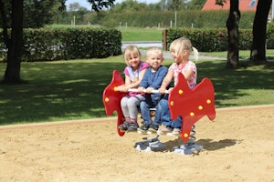 Francis - bild 5