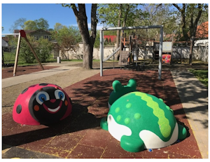 Frog - bild 4