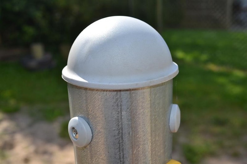 Hannes - volträcke - bild 4