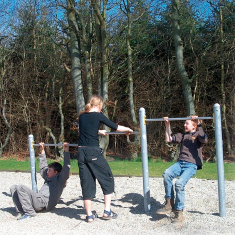 Hannes - volträcke - bild 5