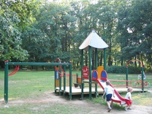 Jim - bild 13
