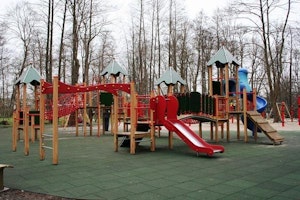 Julienne - bild 13