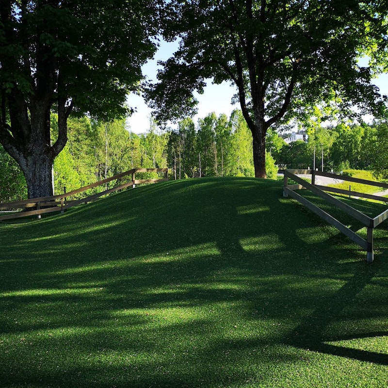 Konstgräs - bild 12