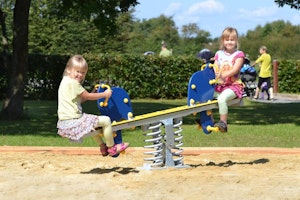 Olifant - bild 2