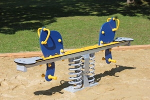 Olifant - bild 5