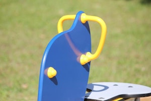 Olifant - bild 9