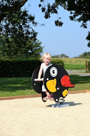 Pauli - bild 9