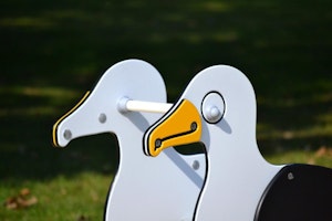 Pelle - bild 4