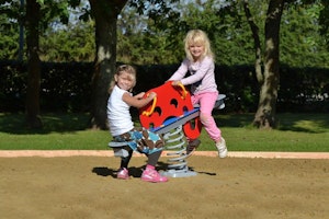 Polly - bild 2
