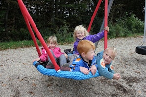 Renata 2 gungor + fågelbo - bild 8