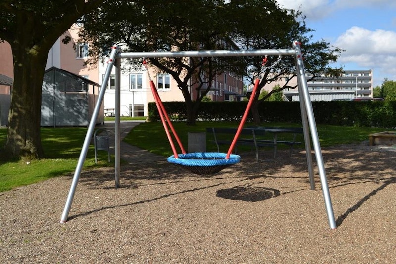 Reine m fågelbo - bild 5