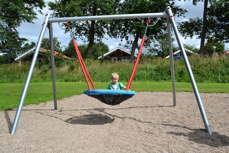 Reine m fågelbo - bild 6