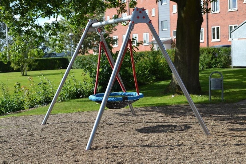 Reine m fågelbo - bild 9