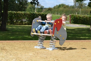 Tantor - bild 5