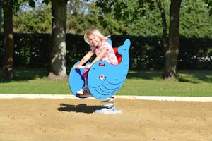 Willy - bild 2