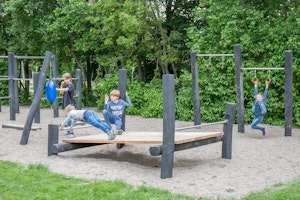 Victorius - bild 2
