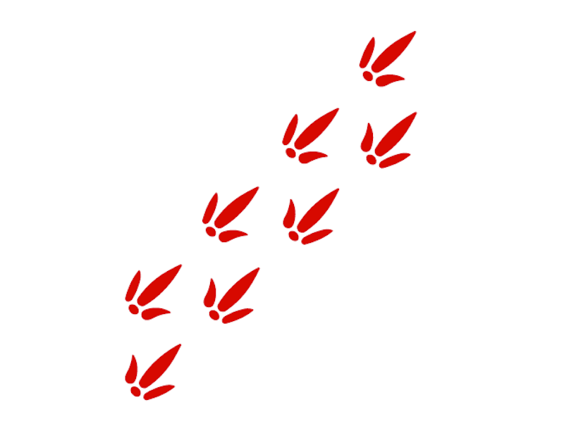 Fotavtryck Dino - bild 2