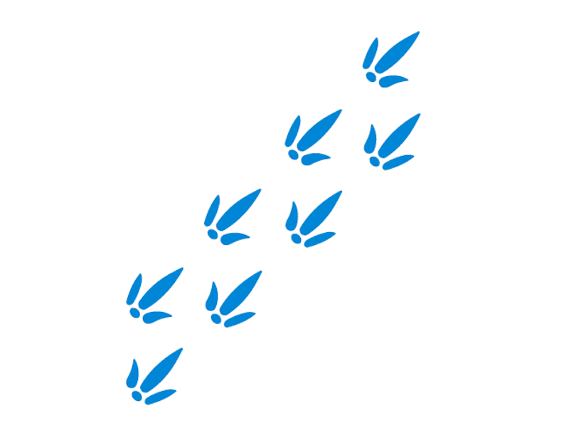 Fotavtryck Dino - bild 4