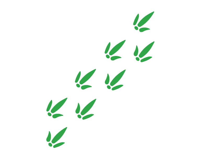 Fotavtryck Dino - bild 5