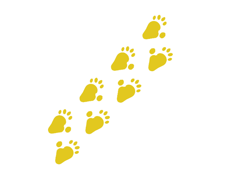 Fotavtryck King Kong - bild 3