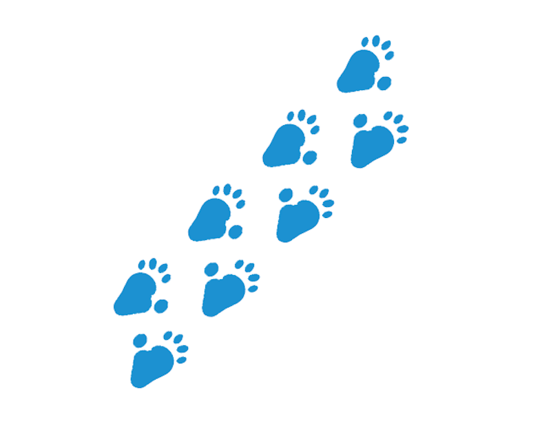 Fotavtryck King Kong - bild 4