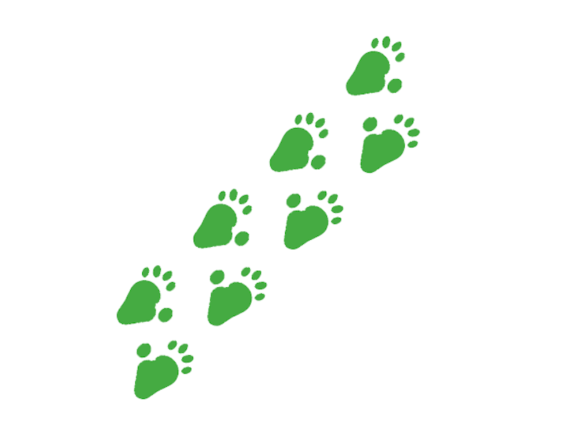 Fotavtryck King Kong - bild 5