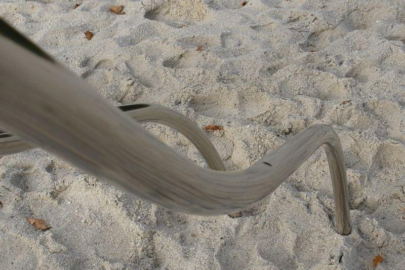 Glidstång Böljande eller kurvig - 1st - bild 6