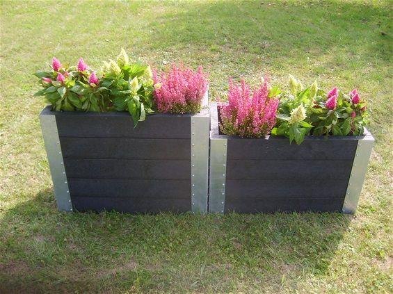 Hyacint 48 (utan botten & ben)