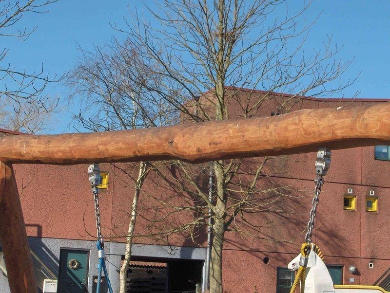 Kardanled m bult för fågelbogunga - bild 3