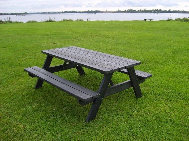 Picnic 2020 - bild 3