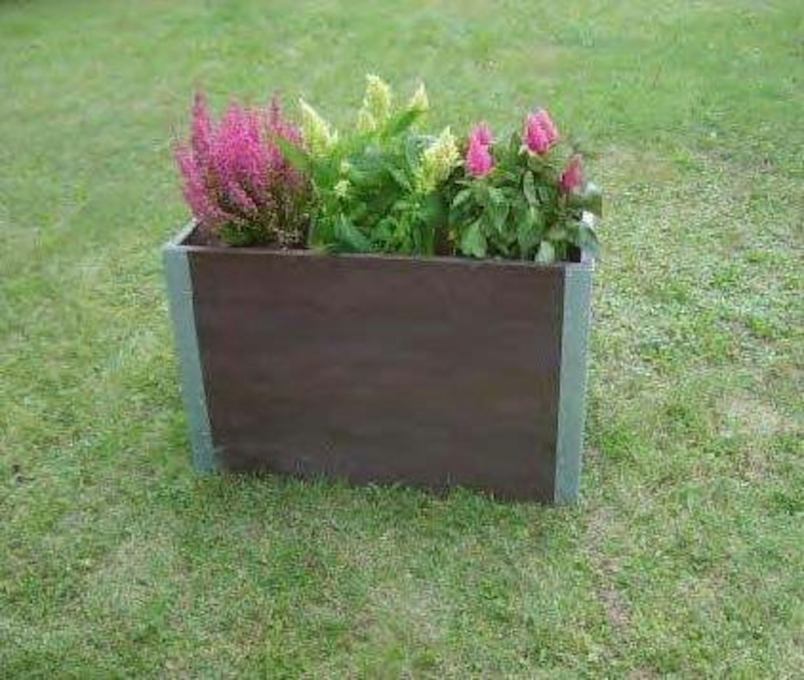 Ranunkel 50 ECO (utan botten & ben)