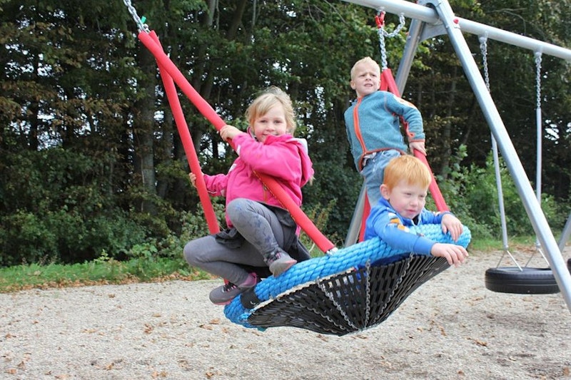 Renata 2 gungor + fågelbo - bild 5