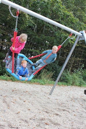 Renata 2 gungor + fågelbo - bild 6