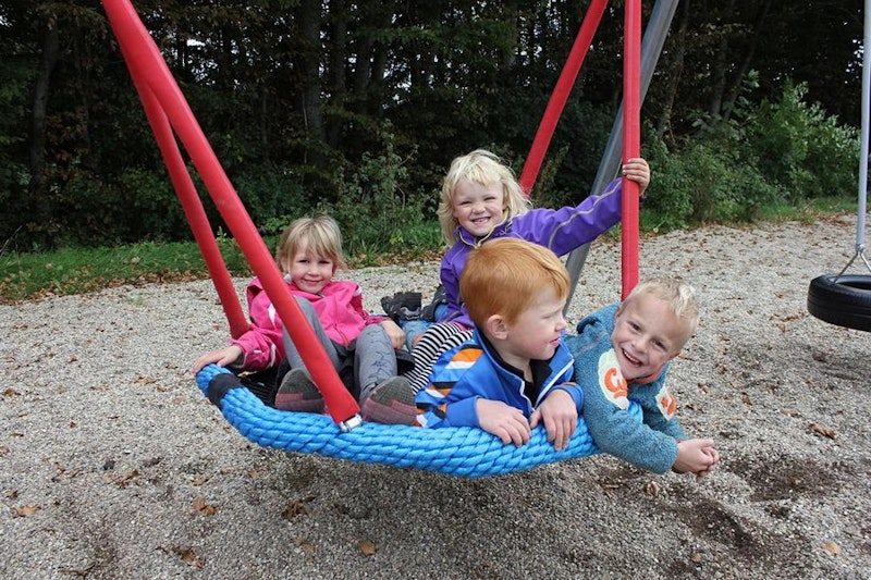 Renata 2 gungor + fågelbo - bild 8